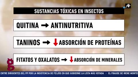 Agenda 2030 a comer gusanos e insectos en vez de comida normal 19-cov