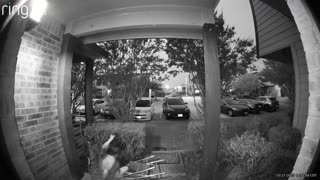 Doorbell Camera Catches Chaos