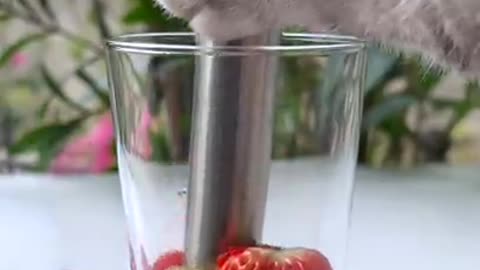 Cat Cooking Show: Strawberry Yakult Soda | Easy Drinks Recipes | Cute Cat