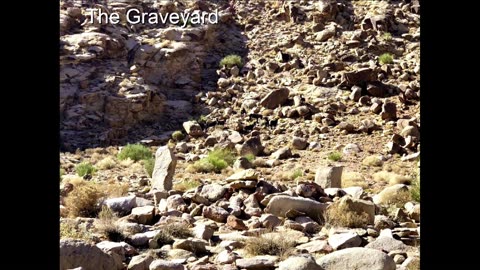 Follow the Lamb Today Part 2 - The Graveyard - by Jim Scate