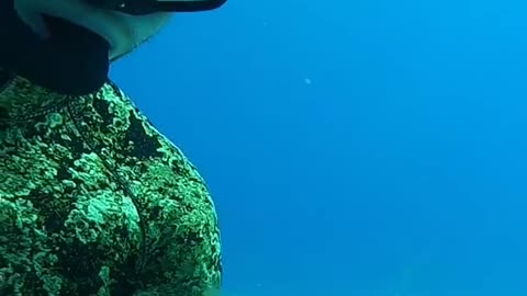 diver cracks egg at 55 ft deep