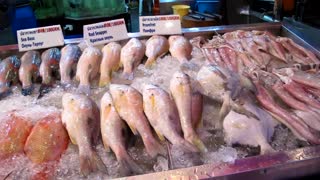 Pattaya Thailand Seafood