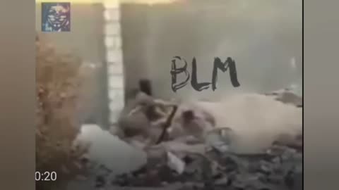 BLM GO BOOM