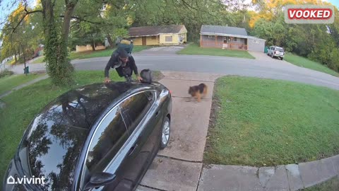 Caught on Camera Epic Doorbell Moments That Went Viral #2024 #DOORBELL