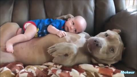 Funny kids and animals/ Kids and pets for fun