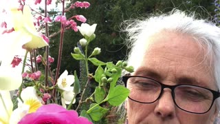 Spring Flower Bouquet of the week #5🥀 & some of What's Blooming in my 9b Garden🌿🌹🌼🥀🌸🌷🌿