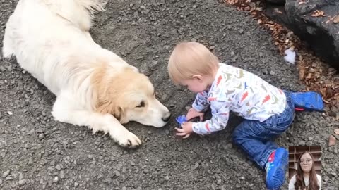 Trending - Adorable Babies Playing With Dogs Compilation - Funny Baby And Dog Videos __ Just Laugh