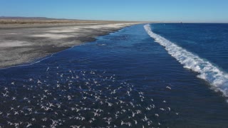 Bahia Asuncion, Baja Mexico