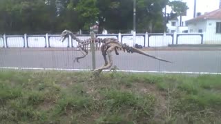 Escultura de um esqueleto de um dinossauro no museu de ciências [Nature & Animals]