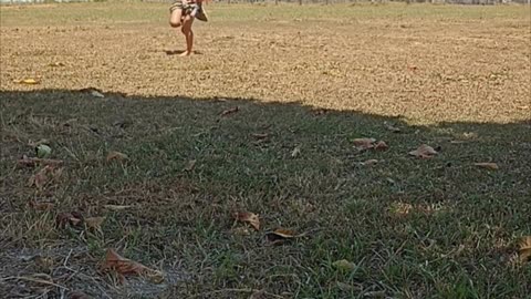 Bird Swoops Down on Girls Playing in Park