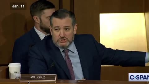 Ted Cruz asking questions to the DOJ about the Capitol Hill riot on Jan 6th