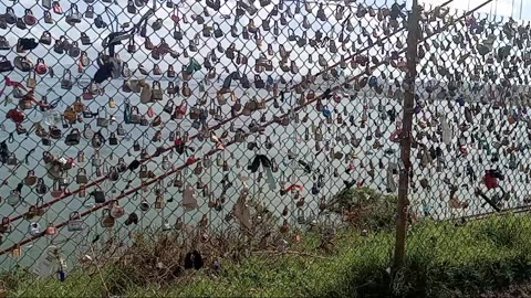 The "Love Locks" Fence at the Golden Gate Bridge