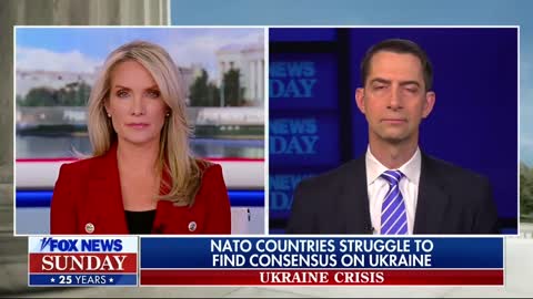 Tom Cotton: Democrats Care More About Ukraine's Border Than Our Own