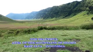 BEAUTIFUL MOUNTAIN AREA OF BROMO - EAST JAVA - INDONESIA