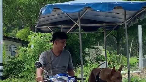 Man Sitting on Motorcycle While Petting His Dog
