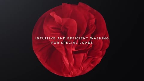 LG SIGNATURE WASHING MACHINE - Intuitive dual washing for special loads.