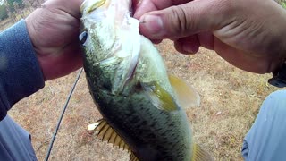 fishing for big bass