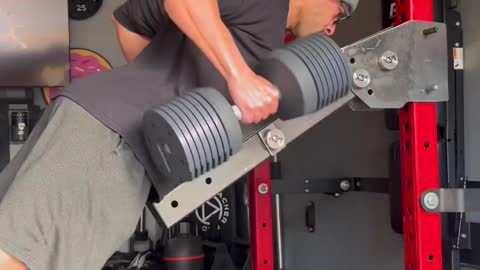 Lever Arms Back Workout: Infinity Jammer Arms for Power Rack by Curls In The Rack
