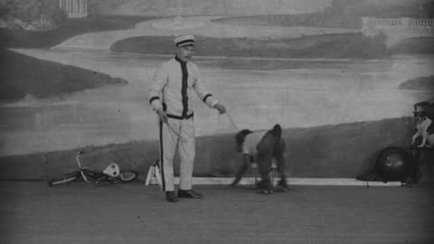 "Animal Act With Baboon, Dog & Donkey" (1919 Original Black & White Film)