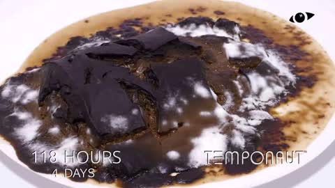 Chocolate Pudding Time-Lapse