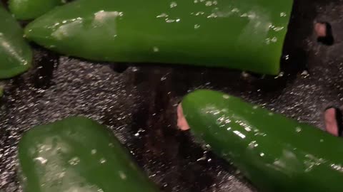 No sound track necessary. How PRETTY are grilled jalapenos?