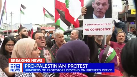 Pro Palestinian Protest In Australia