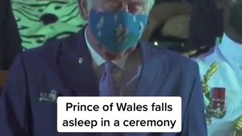 Prince tries not to fall asleep at the Barbados ceremony