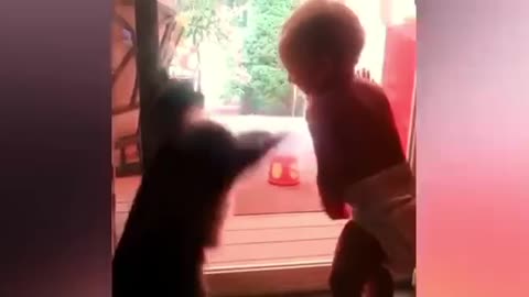Cute Cat Baby Slap To Cute Mama Baby Funny Moments Cats