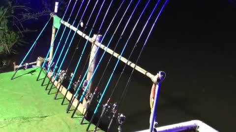 Amazing Rural Fishing Video 🐟 Best Asian Fishing Technique 🐟 #shorts
