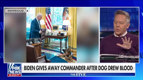 The Five: If Biden can't control his dogs, how can he govern a country?