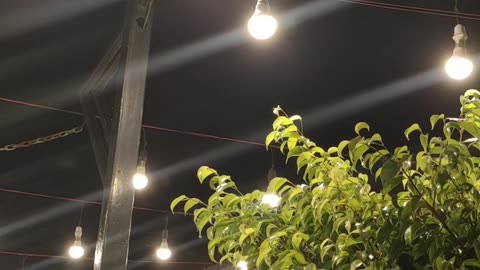 Cafe Light: A Cozy and Relaxing Video of a Charming cafe Ambience
