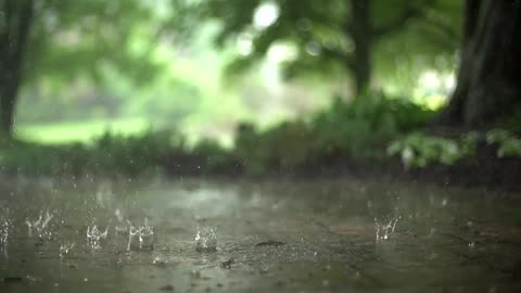 [Slow Motion] Rain Stock Footage | No Copyright Video | Royalty Free