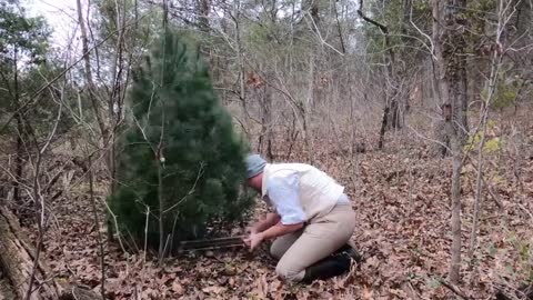 Decorating an 1820s Christmas Tree _No Talking Real Historic Recipes_