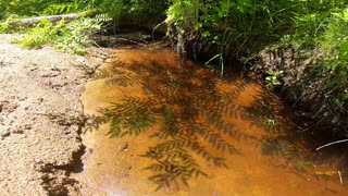 Water Reflection