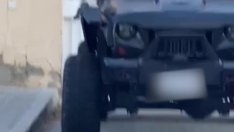 Cat walking over car's hood jumps in shock on hearing it honk