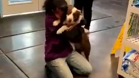Watch: Dog’s emotional reunion with her human family after excruciating 21-day separation