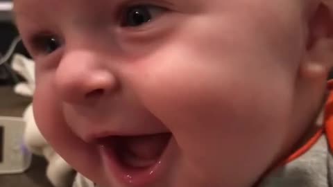 Babies Laughing Hysterically | Cute |