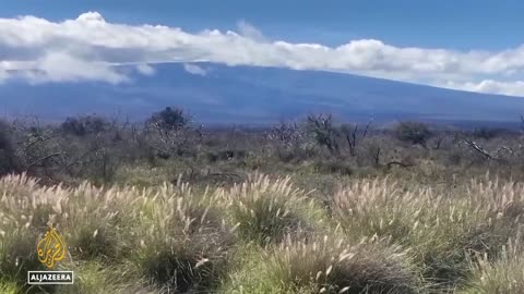 Hawaii volcano, world’s largest, erupts for first time in decades