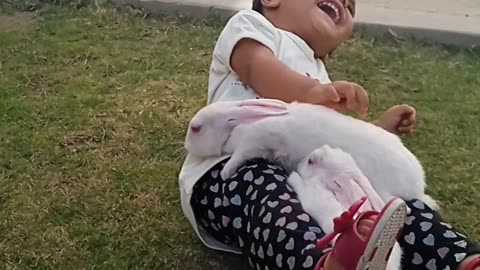 So Cute Rabbits and So Funny baby