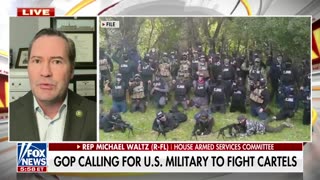 Rep. Michael Waltz calls for US military to fight cartels