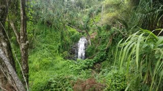 Waterfall on trail to Queens Bath (Kauai)