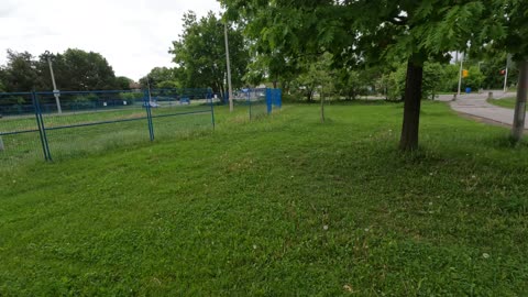 Ottawa The Capital Of Canada 613 Cleaning One Park At A Time