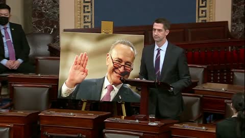 Tom Cotton Destroys Chuck Schumer On Senate Floor With His Own Words But Nobody Knew It At First