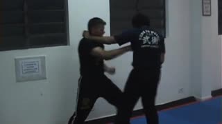 Powerful Techniques of Kung Fu with Master Gomes Neto