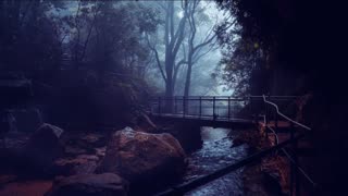 Enchanting Forest Sounds: Listen to the Babbling Brook and the Pattering Rain