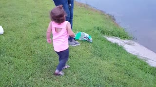 Little Girl Encounters Turtle