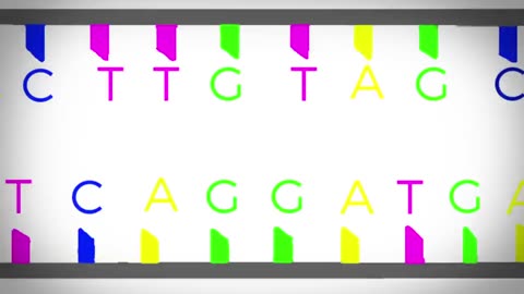 Unraveling the Genetic Tapestry: Exploring Genes and Chromosomes