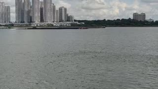 View of JB from Sungei Buloh Wetland Reserve, Singapore