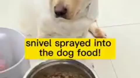 Don't Spread Virus into my Food