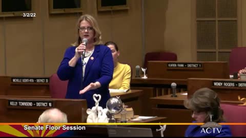 Sen. Kelly Townsend Discusses Censure of Sen. Wendy Rogers